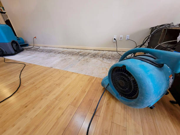 Reliable Basement Flood Cleanup contractor in Porter, TX by Hirex Water Damage