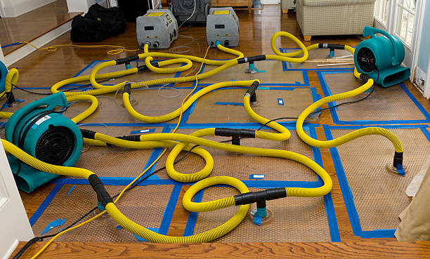 Professional Basement Flood Cleanup technician working in Porter, TX